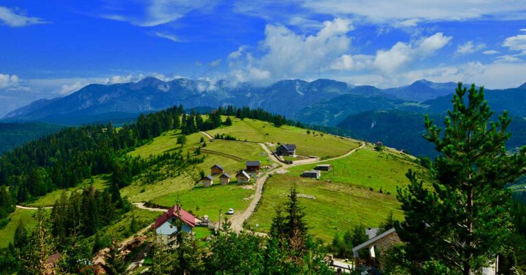 A lush green hillside covered with trees in Peja Kosovo