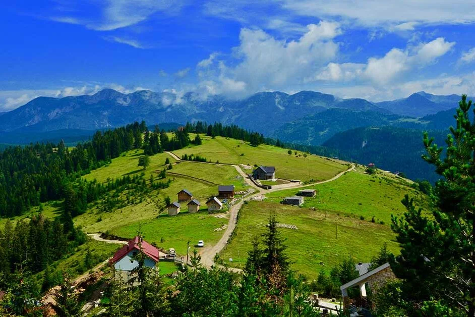 A lush green hillside covered with trees in Peja Kosovo