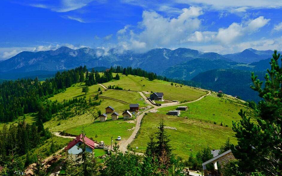 A lush green hillside covered with trees in Peja Kosovo