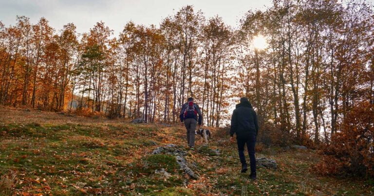 Two people with a dog hiking in the forests of albania in Kukes