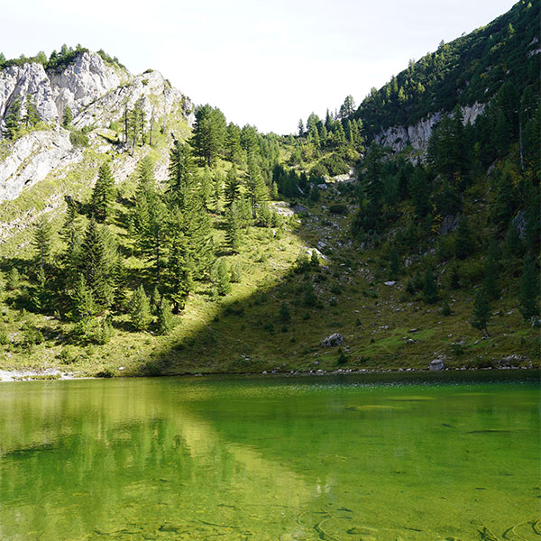 A close-up of Rugova, showing its towering limestone cliffs, lush forests, and rushing rivers.